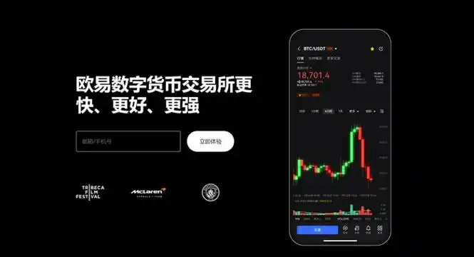欧艺钱包系统展示图